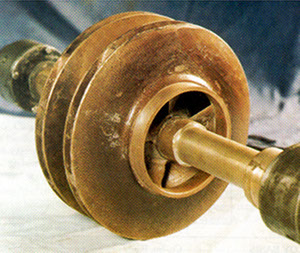Bronze impeller